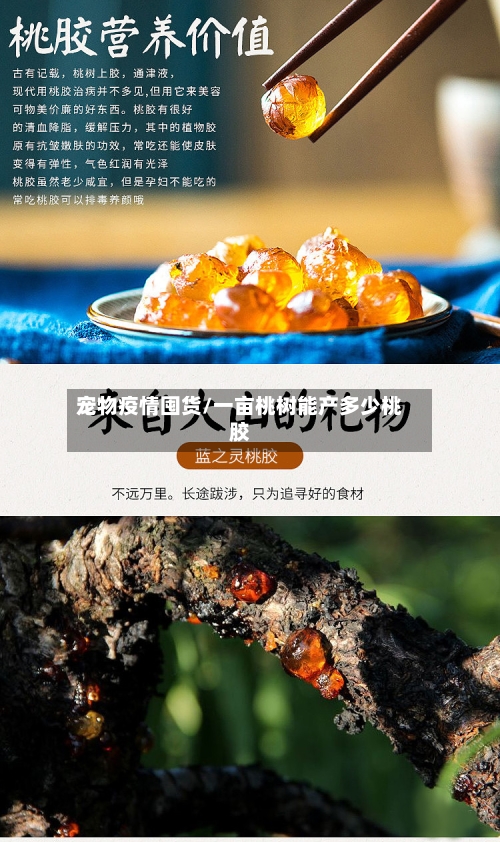宠物疫情囤货/一亩桃树能产多少桃胶
