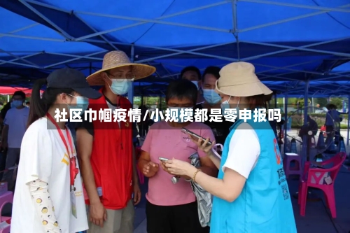 社区巾帼疫情/小规模都是零申报吗