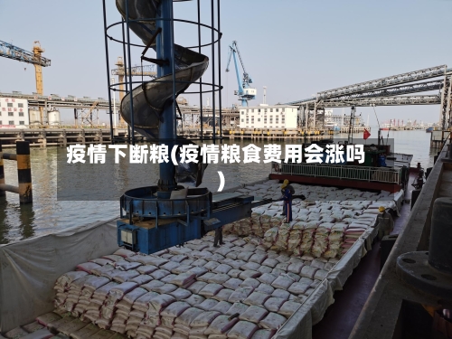 疫情下断粮(疫情粮食费用会涨吗)