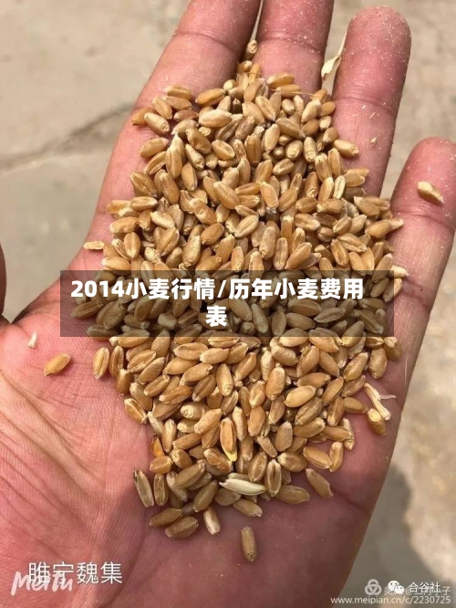 2014小麦行情/历年小麦费用表