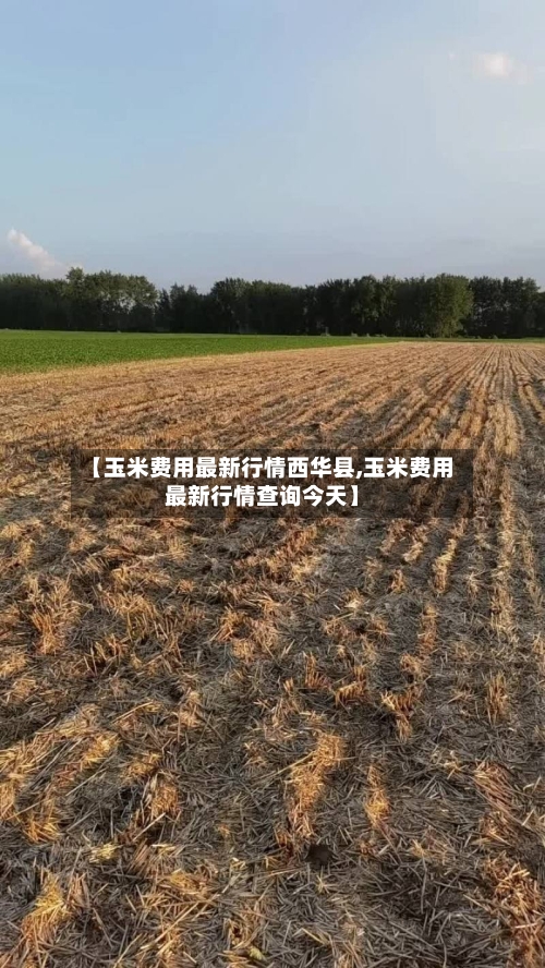 【玉米费用最新行情西华县,玉米费用最新行情查询今天】-第3张图片