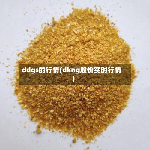 ddgs的行情(dkng股价实时行情)