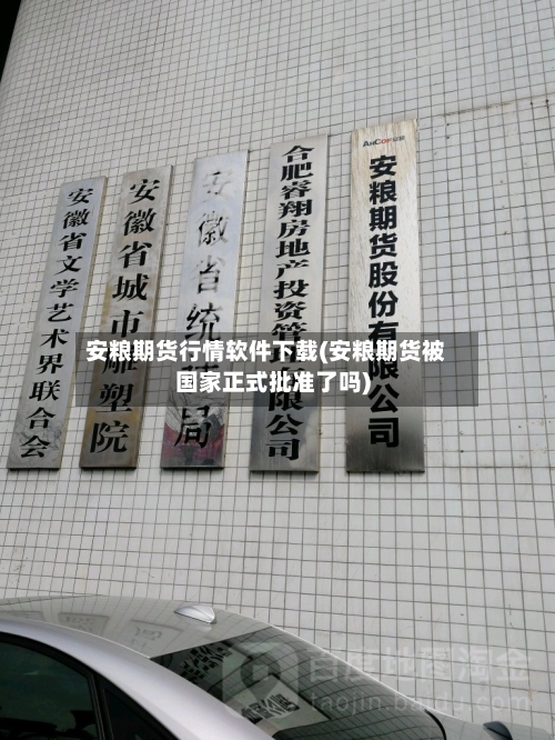 安粮期货行情软件下载(安粮期货被国家正式批准了吗)