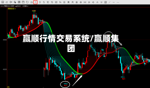 赢顺行情交易系统/赢顺集团