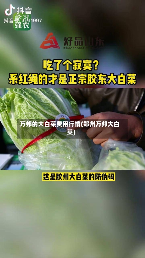 万邦的大白菜费用行情(郑州万邦大白菜)-第3张图片
