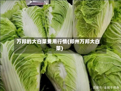 万邦的大白菜费用行情(郑州万邦大白菜)