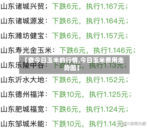 【查今日玉米的行情,今日玉米费用走势图】