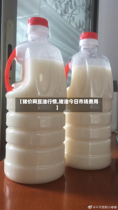 【猪价网豆油行情,猪油今日市场费用】-第3张图片