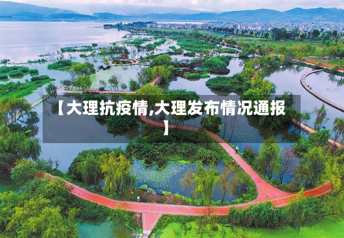 【大理抗疫情,大理发布情况通报】