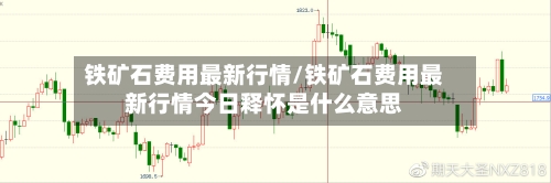 铁矿石费用最新行情/铁矿石费用最新行情今日释怀是什么意思-第3张图片