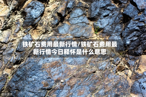 铁矿石费用最新行情/铁矿石费用最新行情今日释怀是什么意思-第2张图片