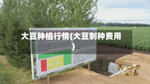 大豆种植行情(大豆制种费用)-第3张图片