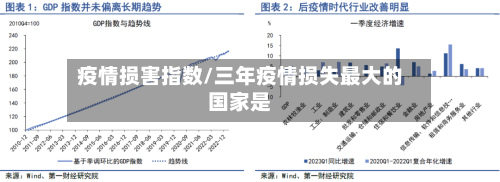 疫情损害指数/三年疫情损失最大的国家是