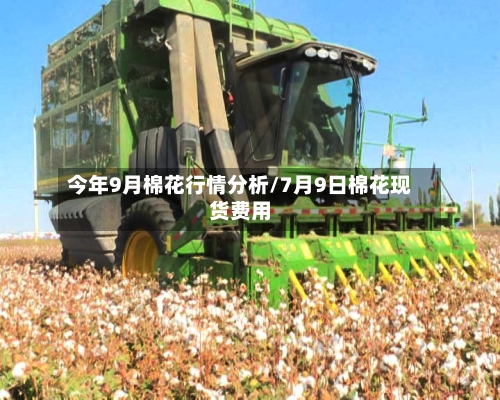 今年9月棉花行情分析/7月9日棉花现货费用