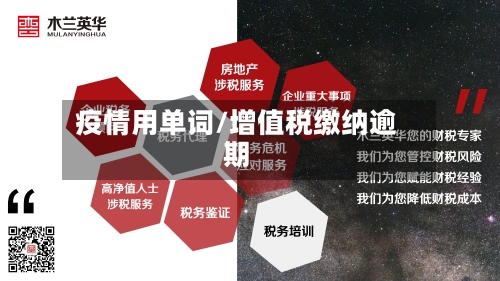 疫情用单词/增值税缴纳逾期-第3张图片