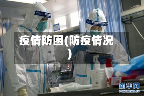 疫情防困(防疫情况)-第2张图片