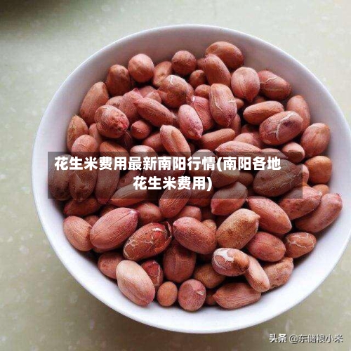 花生米费用最新南阳行情(南阳各地花生米费用)-第3张图片