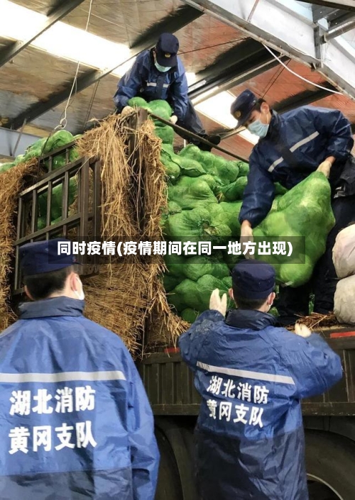 同时疫情(疫情期间在同一地方出现)