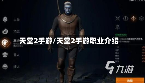 天堂2手游/天堂2手游职业介绍