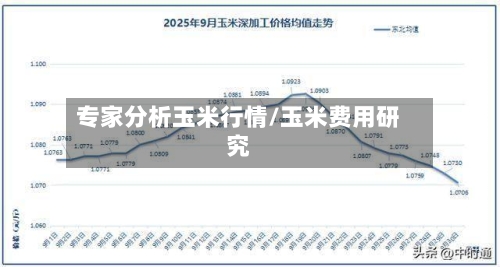 专家分析玉米行情/玉米费用研究-第3张图片