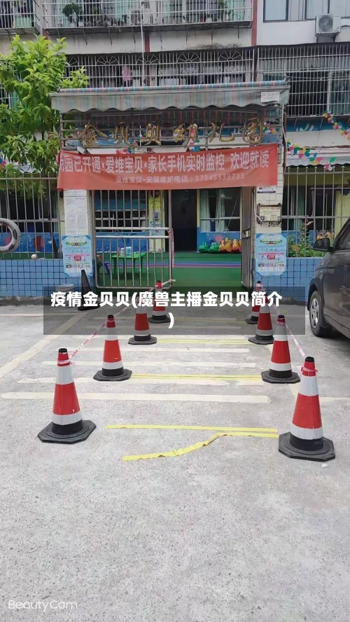 疫情金贝贝(魔兽主播金贝贝简介)
