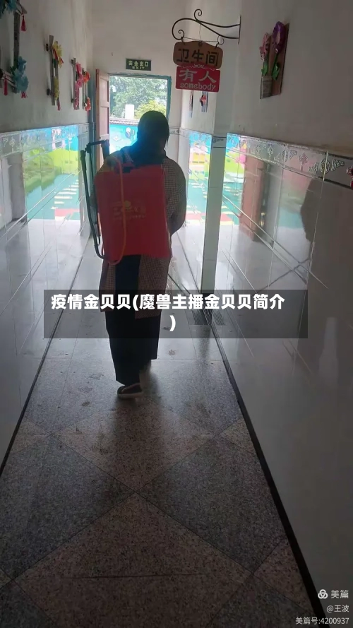 疫情金贝贝(魔兽主播金贝贝简介)-第3张图片