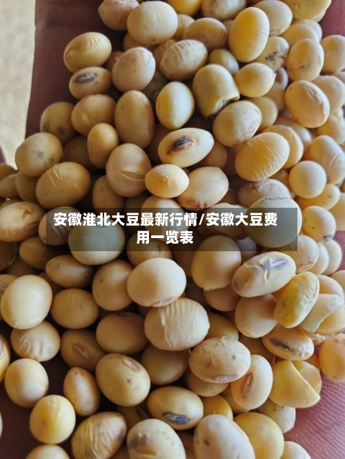 安徽淮北大豆最新行情/安徽大豆费用一览表