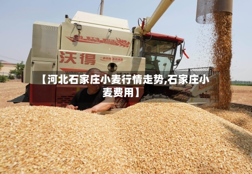 【河北石家庄小麦行情走势,石家庄小麦费用】