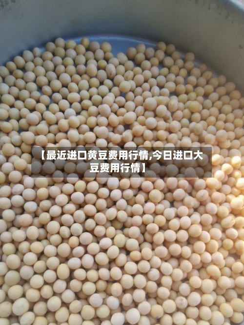 【最近进口黄豆费用行情,今日进口大豆费用行情】-第2张图片
