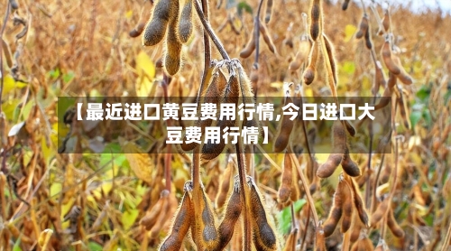 【最近进口黄豆费用行情,今日进口大豆费用行情】