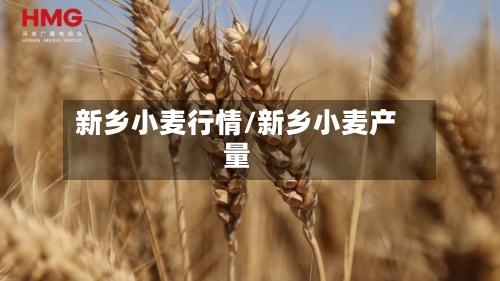 新乡小麦行情/新乡小麦产量-第2张图片