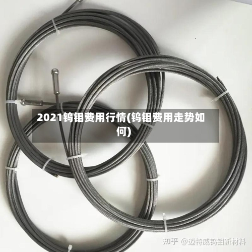 2021钨钼费用行情(钨钼费用走势如何)-第2张图片