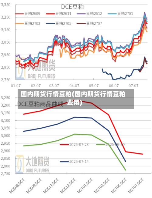 国内期货行情豆粕(国内期货行情豆粕费用)-第2张图片
