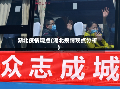 湖北疫情观点(湖北疫情观点分析)