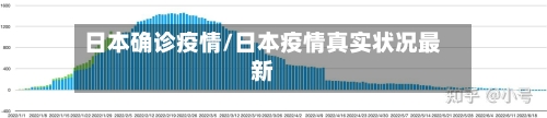 日本确诊疫情/日本疫情真实状况最新