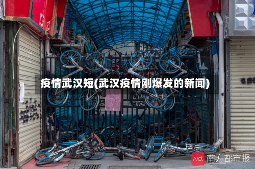 疫情武汉短(武汉疫情刚爆发的新闻)