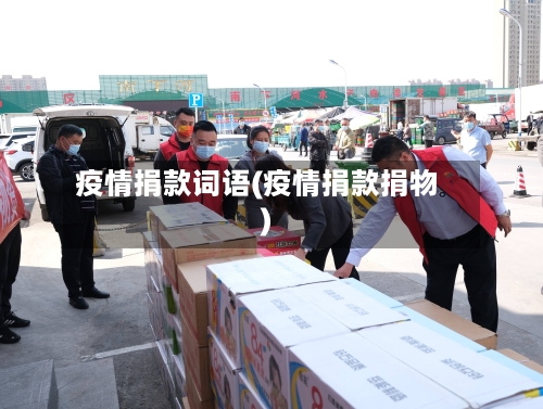 疫情捐款词语(疫情捐款捐物)-第3张图片