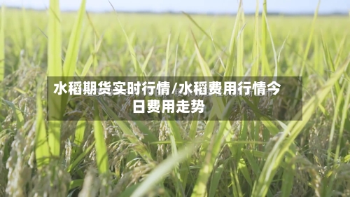 水稻期货实时行情/水稻费用行情今日费用走势-第2张图片