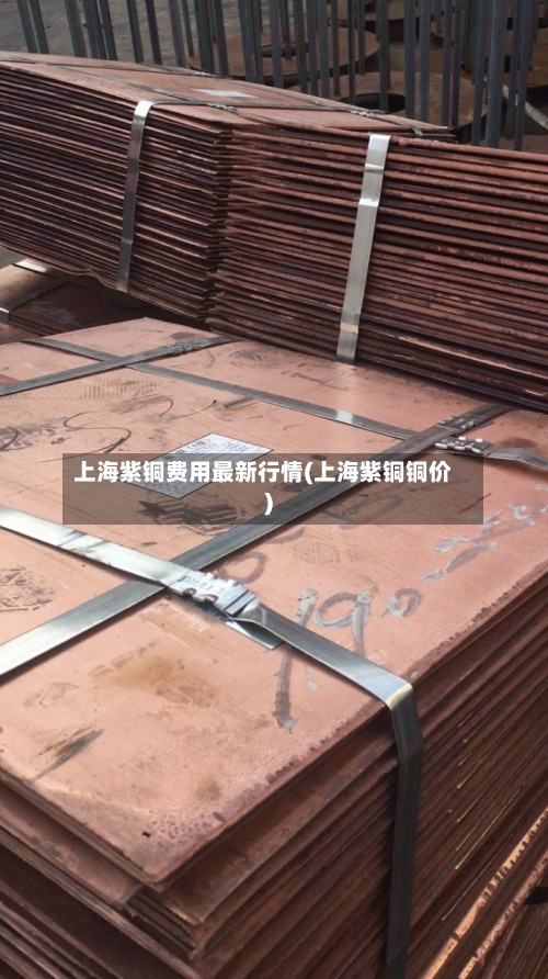 上海紫铜费用最新行情(上海紫铜铜价)-第3张图片