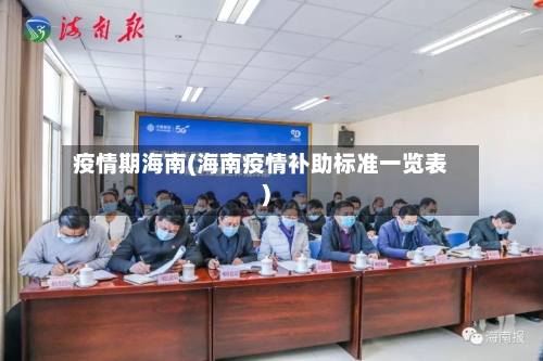 疫情期海南(海南疫情补助标准一览表)
