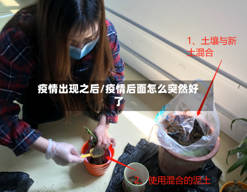 疫情出现之后/疫情后面怎么突然好了
