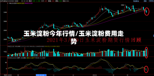 玉米淀粉今年行情/玉米淀粉费用走势-第2张图片