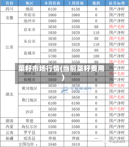 菜籽市场行情(当前菜籽费用)-第2张图片