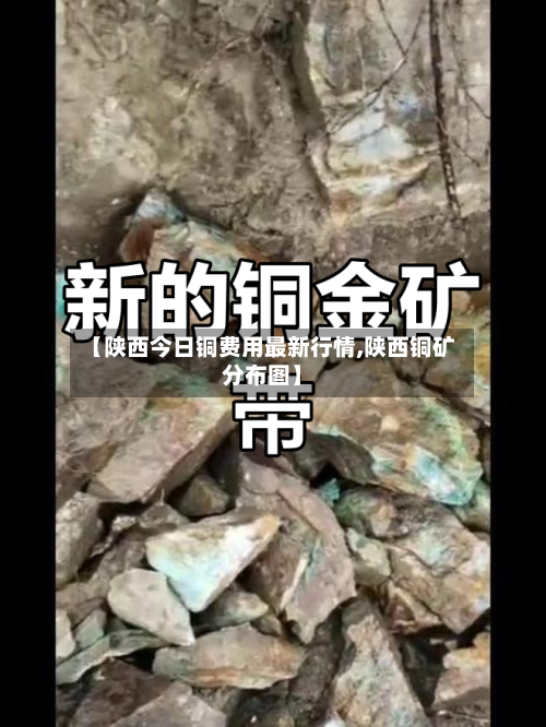 【陕西今日铜费用最新行情,陕西铜矿分布图】-第2张图片