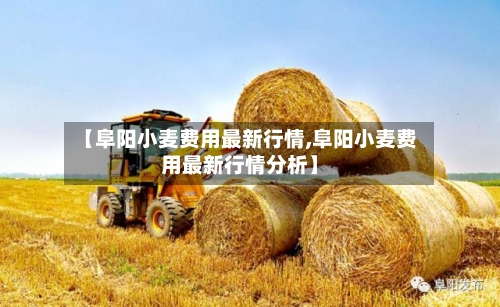 【阜阳小麦费用最新行情,阜阳小麦费用最新行情分析】