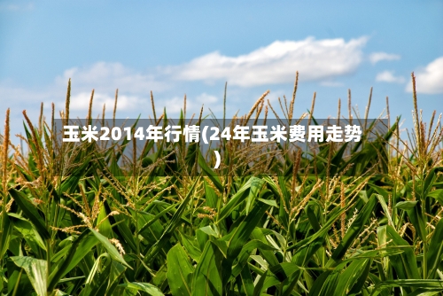玉米2014年行情(24年玉米费用走势)-第2张图片
