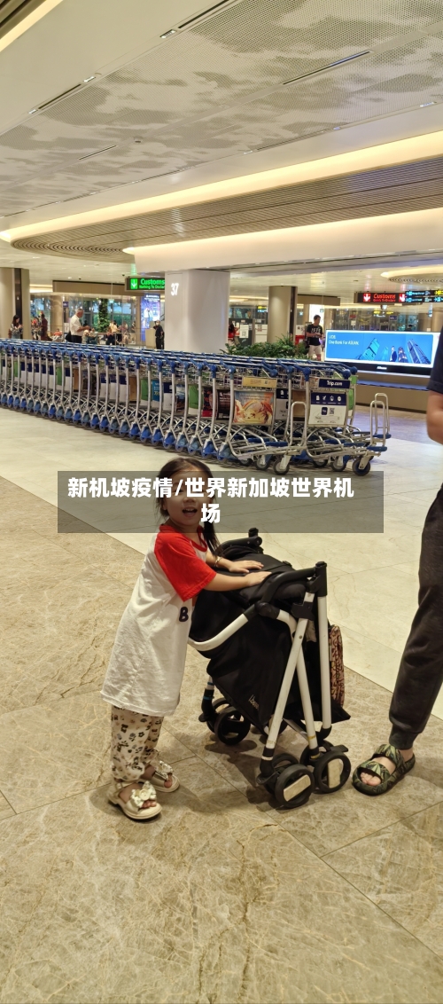 新机坡疫情/世界新加坡世界机场