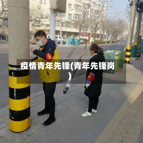 疫情青年先锋(青年先锋岗)-第2张图片