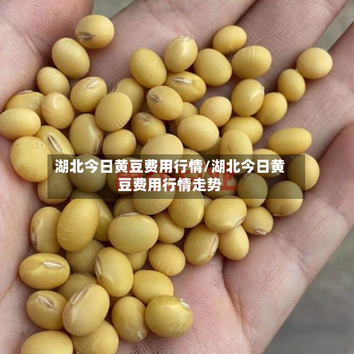湖北今日黄豆费用行情/湖北今日黄豆费用行情走势