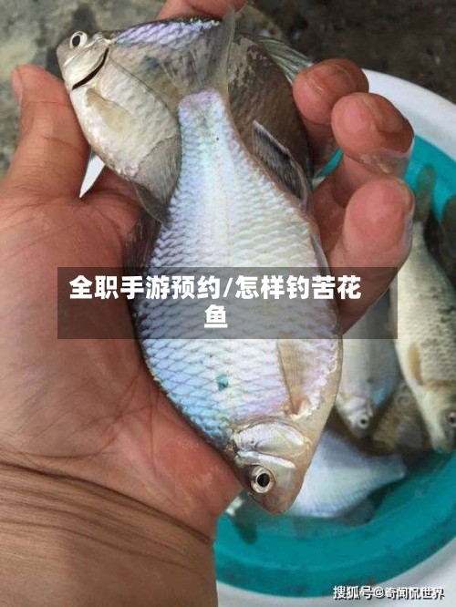 全职手游预约/怎样钓苦花鱼